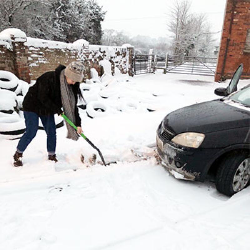 Digging in the snow!